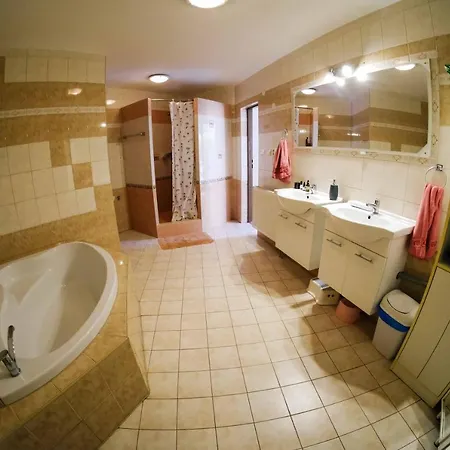 Apartament Neronet Velké Pavlovice