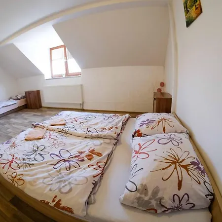 Apartament Neronet