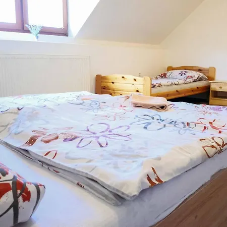 Neronet Velke Pavlovice
