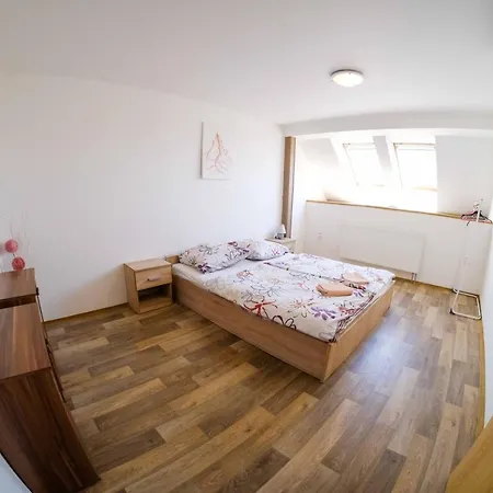 Apartament Neronet *